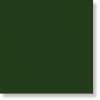 Kingdom Verde Botella