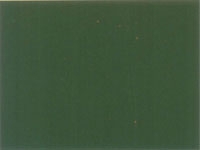 Huelva-N Liso Verde-F