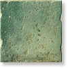 SPAVAGLI