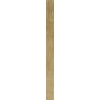 Xylo Yellow Maple