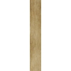 Xylo Yellow Maple