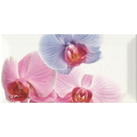 Decor Orchidea 1