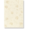 BOURGIE PATTERN-B