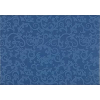 Delhi Azul