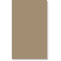 970038 ESPRIT BEIGE RETTIFICATO