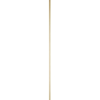 Gold Line Mate