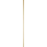 Gold Line Mate