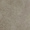Potro Gris