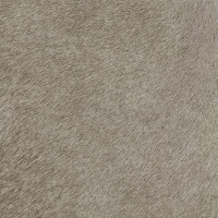 Potro Gris